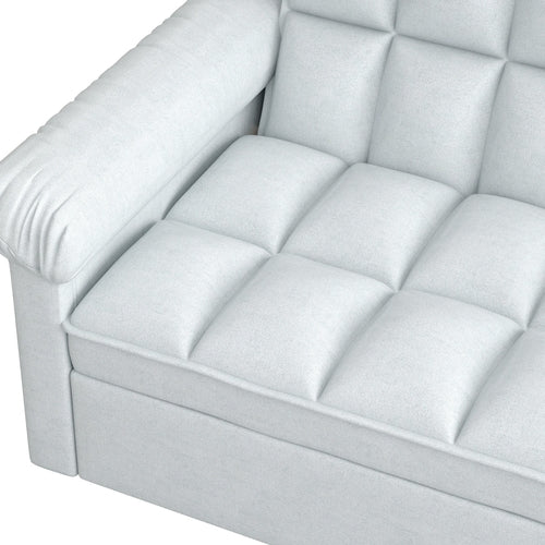 Loveseats Sofa Bed with Pull-out Bed and Adjustable Back