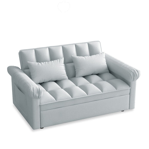 Loveseats Sofa Bed with Pull-out Bed and Adjustable Back