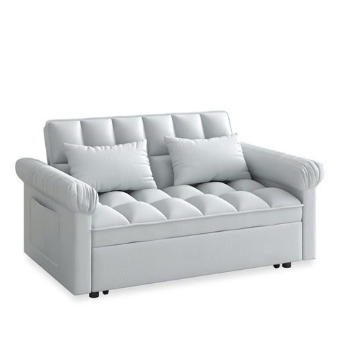 Loveseats Sofa Bed with Pull-out Bed and Adjustable Back