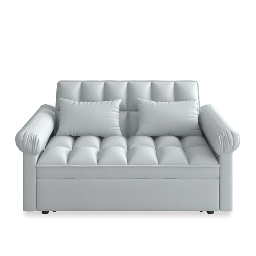 Loveseats Sofa Bed with Pull-out Bed and Adjustable Back